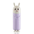 portable toothbrush storage box travel toothbrush hoder case